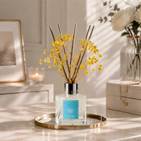 Diffuseur de parfum sur mesure OEM ODM Agrumes Côtiers 100ml Collier Argenté Parfum d'ambiance Vente en gros Longue Durée Élégant