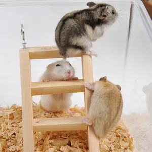 Échelle en bois pour Hamster, Cage en bois, échelle suspendue pour souris Chinchilla Rat Gerbil et loup