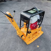 Compacteur de sol à plaque vibrante miniature à essence de qualité supérieure avec une efficacité élevée pour les chantiers de construction