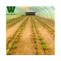 Équipement agricole Serre tunnel cerceau commercial serre cerceau maison