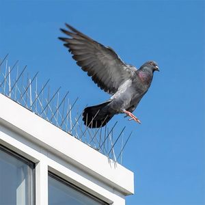 Piques anti-oiseaux en acier inoxydable 304 pré-collées, à coller sans perçage, kit anti-pigeons DIY pour balcon d'appartement et rebord <span class=keywords><strong>de</strong></span> fenêtre - Product Image 6