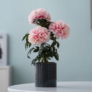 หม้อทรงกระบอกลายดอกดาเลียชุด3ดอกสำหรับตกแต่งบนโต๊ะดีไซน์สีขาว<span class=keywords><strong>สีชมพู</strong></span>แดง - Product Image 3