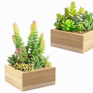 Petite jardinière suspendue de bureau moderne en bois écologique de haute qualité pour la culture de plantes vertes en intérieur - Product Image 4