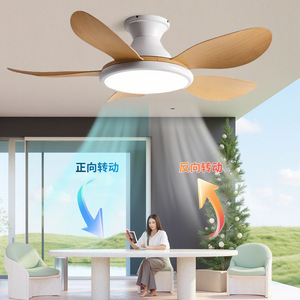 <b>Ceiling</b> <b>Fan</b> Light With Led Integrated Fixed Blade For Living Room Bedroom 5 Year Warranty - Product Image 2