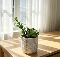 Petite plante succulente en pot, ornement floral - Décoration de bureau écologique pour Halloween/Noël/Nouvel An/Remise de diplôme pour le salon