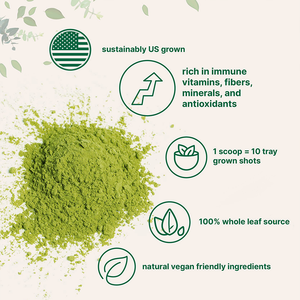 תוספי תזונה תזונתיים פרטי תווית פרטית סופר מזון 100% טהור אבקת דשא אורגני טבעי - Product Image 3