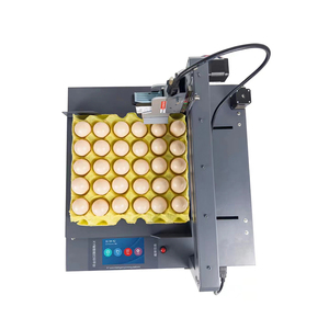 Macchina per la codifica dell'uovo d'anatra completamente automatica 10 stampanti a getto d'inchiostro fornite dalla stampante Dtg piccola intera stampa di lastre veloci da 5 pollici - Product Image 2