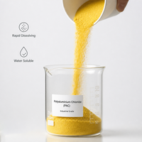 PAC Coagulant d'eau haute performance, poudre de chlorure de polyaluminium 28%