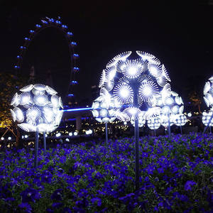 Lumière LED de paysage <span class=keywords><strong>2022</strong></span>, fournitures de décoration de noël, avec Motif de fleur de pissenlit, Fiber optique, éclairage d'extérieur, pour vacances, <span class=keywords><strong>parc</strong></span> - Product Image 5