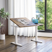 Nouveau design de bureau motorisé réglable en hauteur Table élévatrice électrique à double moteur Table de peinture à angle de bureau réglable