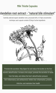 Kapsul Natural Milk Thistle (120 lembar) untuk perlindungan hati-bukan untuk wanita hamil <span class=keywords><strong>2</strong></span> kapsul setiap kali - Product Image 3