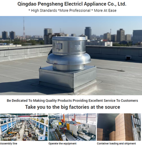 Ventilateur <span class=keywords><strong>d</strong></span>'extraction centrifuge industriel résistant à la corrosion pour évacuation de fumées et <span class=keywords><strong>d</strong></span>époussiérage de toiture - Product Image 4