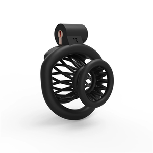 Lồng trinh tiết nam 2025 mới, 4 màu, khóa dương vật, kiểm soát abstinence, khóa dương vật kiểu sissy với 4 vòng cỡ khác nhau, sản phẩm dành cho người lớn - Product Image 2