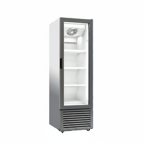 Réfrigérateur commercial vertical à porte vitrée simple de 265 L, haute température et humidité, pour boissons - Product Image 2