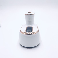 Machine à repasser portative à vapeur édition mondiale, fer rotatif, Mini fer Portable