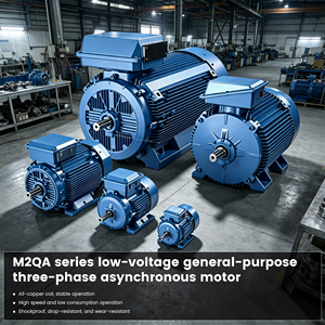 มอเตอร์อะซิงโครนัสสามเฟส M2QA IE3 0.12-355kW 2/4/6/8 โพล TEFC โครงเหล็กหล่อ 380V 50/60Hz มอเตอร์ไฟฟ้าแรงดันต่ำที่เชื่อถือได้ - Product Image 2