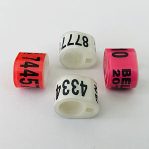 België Plastic Postduif Ringen Elektronische België Vogels Duif Plastic Voet <span class=keywords><strong>Ring</strong></span> - Product Image 5