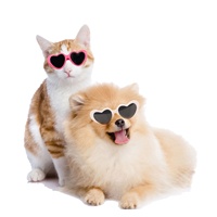 9 couleurs différentes, vente en gros par les fabricants, lunettes créatives pour chiens et chats, lunettes tendance en forme de cœur, lunettes de soleil photo
