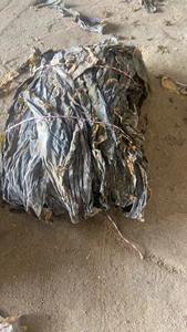 Üretici Toptan Fabrika Doğrudan Satış Kalın Etli Bütün Kelp Başlığı AD Laver Doğranmış 500g Toplu Halde Su İçinde Saklanmış - Product Image 5