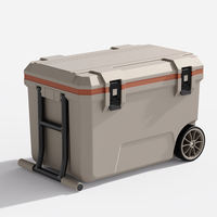 Réfrigérateur de voiture portable en plastique isolé personnalisé de 50 L, glacière isotherme Igloo pour aliments, barbecue, pêche