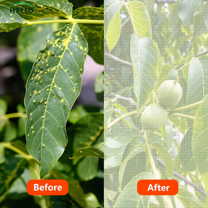 <span class=keywords><strong>Filet</strong></span> <span class=keywords><strong>anti</strong></span>-oiseaux de protection UV pour jardin, protège les légumes et les arbres fruitiers, <span class=keywords><strong>filet</strong></span> <span class=keywords><strong>anti</strong></span>-oiseaux en nylon - Product Image 2