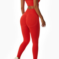 Leggings Deportivos Sin Costuras para Mujer, Cintura Alta, para Entrenamiento, Yoga, Gimnasio, Elásticos, Transpirables