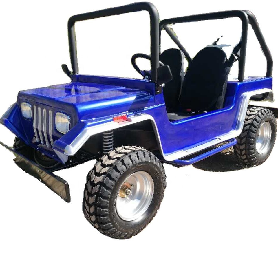 Beliebte 200cc Adult Mini Jeep 2 Sitze Dune Buggy mit Offroad-Reifen Benzin Jeep Car