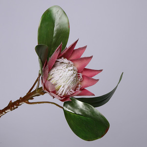Fleur artificielle réaliste en tissu <span class=keywords><strong>de</strong></span> type King Protea, tige <span class=keywords><strong>de</strong></span> fleur tropicale pour décoration <span class=keywords><strong>de</strong></span> vase <span class=keywords><strong>de</strong></span> salon, événements et bouquets <span class=keywords><strong>de</strong></span> <span class=keywords><strong>mariée</strong></span> - Product Image 6
