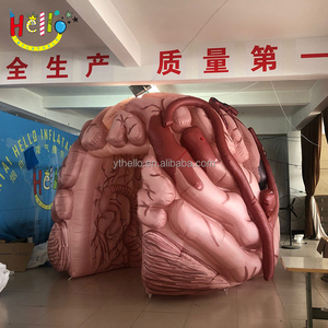 Les événements de soins de santé personnalisés traversent le <span class=keywords><strong>tunnel</strong></span> du cerveau Passage gonflable <span class=keywords><strong>pour</strong></span> l'éducation - Product Image 3