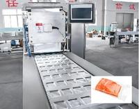 Machine d'emballage sous vide Machine d'emballage automatique de liquide Empacadora Al Vacio Machines d'emballage sous vide Scelleuse sous vide