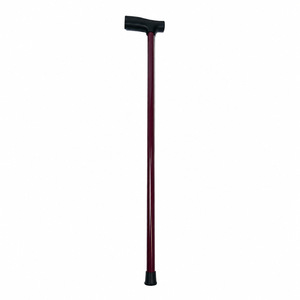 Bâton de marche en acier inoxydable avec poignée en T, léger, pour la randonnée en plein air, pour hommes et femmes - Product Image 1