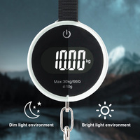 Vente directe d'usine, balance numérique miniature à suspendre de 50 kg pour valise et bagages, précision de 10 g, personnalisable OEM