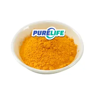 Best Price Bulk Pure Organic Natural Supplement Food Grade Curcumin Powder