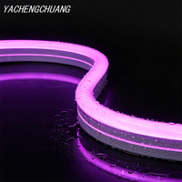 Bande LED néon flexible en silicone à courbure latérale 1225, DC24V, étanche IP67, lumière néon souple pour extérieur, taille personnalisée, vente en gros usine