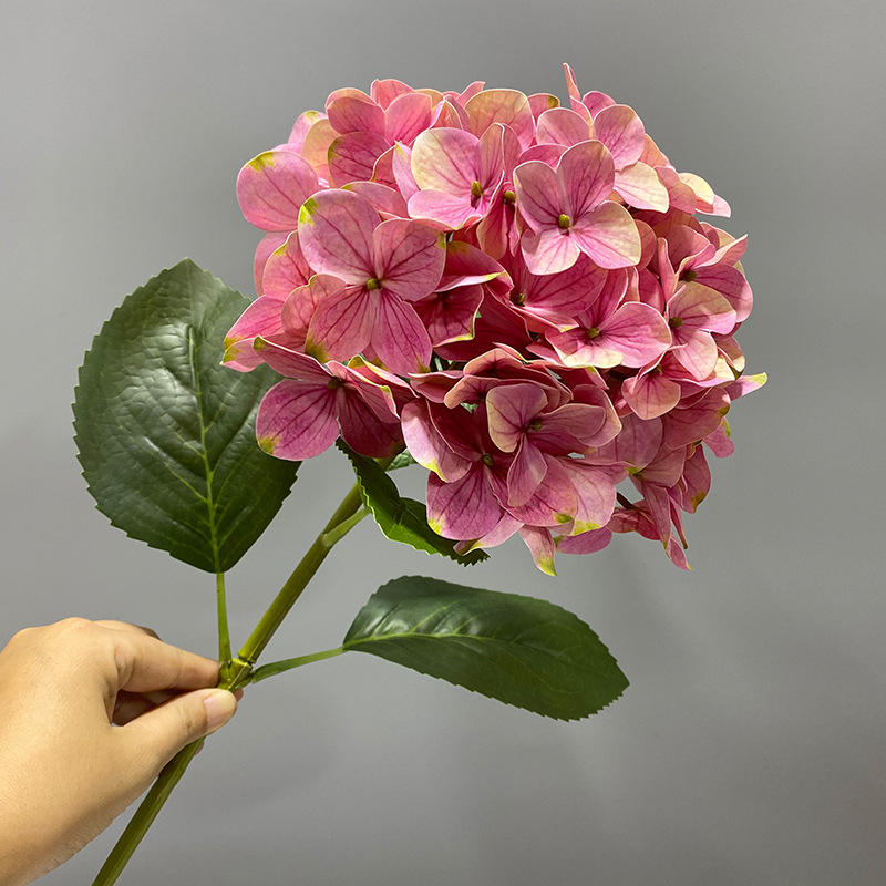 Hydrangée rose à une tête, 80 cm