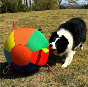 Pelota de Juguete para Perros Grandes y <span class=keywords><strong>Border</strong></span> Collies - Pelota de Entrenamiento Autoentretenedora, Juguete Interactivo para Perros - Product Image 3