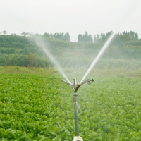 Titans Arroseur à impact en métal de 1 pouce pour irrigation de jardin de pelouse