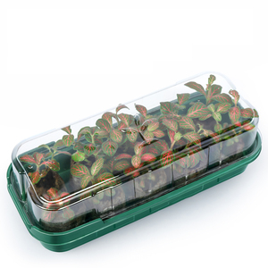 DD551 10 Cells Gardening 2pcs/set Seed Boxes Vegetables Plant Growing Trays Germination Seedling Nursery Pots