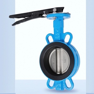 Vanne papillon à opercule en acier inoxydable, vanne <span class=keywords><strong>anti</strong></span>-<span class=keywords><strong>retour</strong></span>, fournisseur chinois - Product Image 1