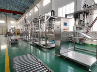 Remplissage aseptique multifonctionnel de 200 L et 220 L de sacs en fûts, remplissage aseptique de sacs de 1000 L pour sacs de 1000 L