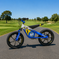 Moto électrique tout-terrain pour enfants, moteur sans balais 653W, batterie lithium 36V 5Ah, autonomie jusqu'à 25 km, conduite aventure, prix de gros