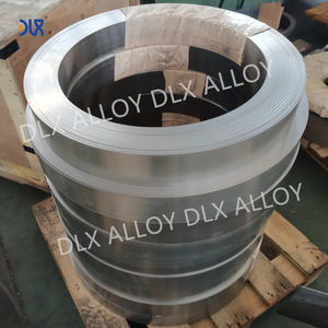 DLX 고정밀 니켈 스트립 맞춤형 니켈 구리 합금 모넬 400 시트/플레이트 - Product Image 6