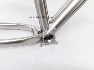 Cadre de VTT en alliage de titane sur mesure pour pneu 29 pouces et type de frein à disque Cruisers avec décrochage UDH pour VTT - Product Image 3
