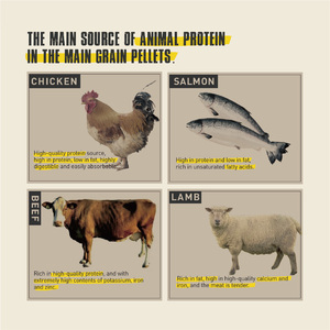 Nhà Máy Bán Hàng Trực Tiếp Mẫu Miễn Phí Chất Dinh Dưỡng Protein Cao Thịt Khỏe Mạnh Pet Khô Thức Ăn Con Chó - Product Image 2