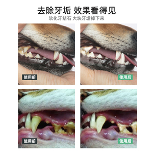Nuevo diseño 50G Pet Dog Health Products Limpieza Blanqueamiento de dientes Polvo Di adiós al mal aliento - Product Image 4