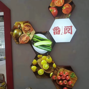 QIAN LI YJ-01 Cadre en alliage d'aluminium étanche personnalisé, toile en tissu souple avec protection UV, panneau LED intérieur pour téléphone portable - Product Image 2