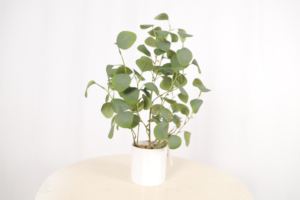 Venta directa de fábrica Plantas de mesa Artificial Pequeñas plantas de bonsái Árbol para la decoración de la Mesa del hogar de la Oficina - Product Image 5