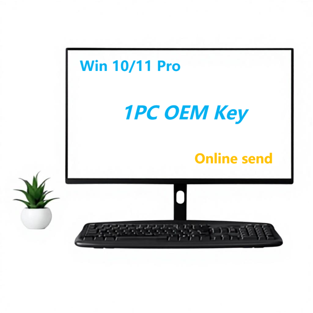 Win 11 Pro OEM 100%  Win 10 Professional License 1PC CD&Disc  Fast Delivery