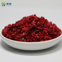 SAIYANG Natuurlijk Gedroogde Cranberry Fruitblokjes Groothandel Gedroogde Cranberry Fruit Snacks Gedroogde Cranberry Chips