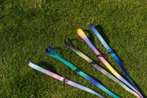 ENTRENAMIENTO DE MASCOTAS en stock Correa para perros Walk <span class=keywords><strong>the</strong></span> <span class=keywords><strong>Dog</strong></span> Impermeable Moda Lujo PVC Correa para perros - Product Image 5